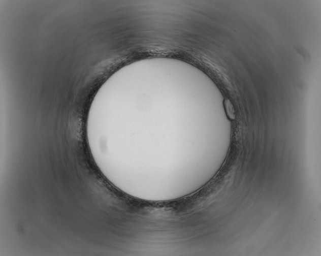 X0000113740689200910141004