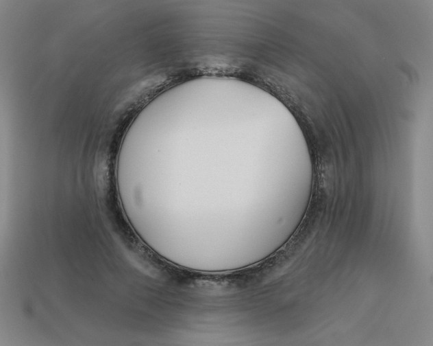 X0000113740690200910141004