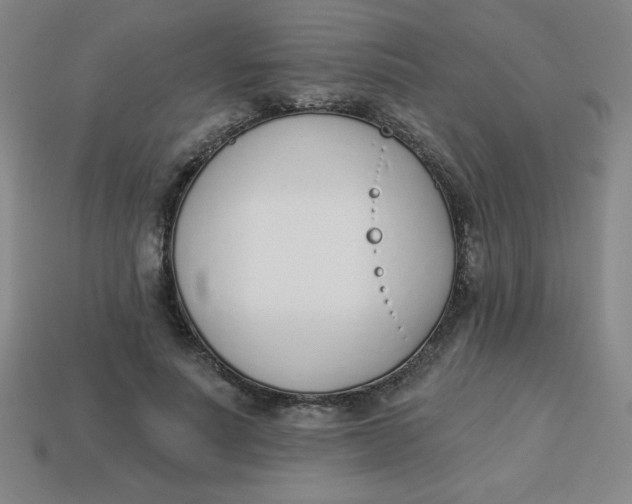 X0000113740691200910141004