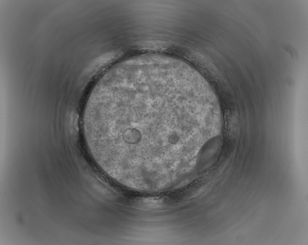 X0000113740692200910141004