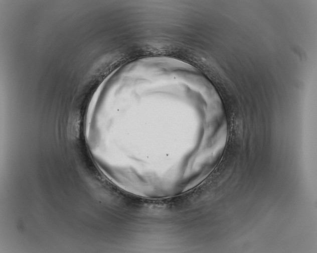 X0000113740694200910141004