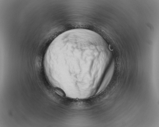 X0000113740695200910141004