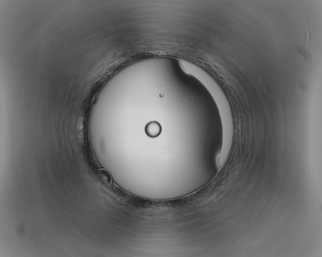 X0000113740696200910141004