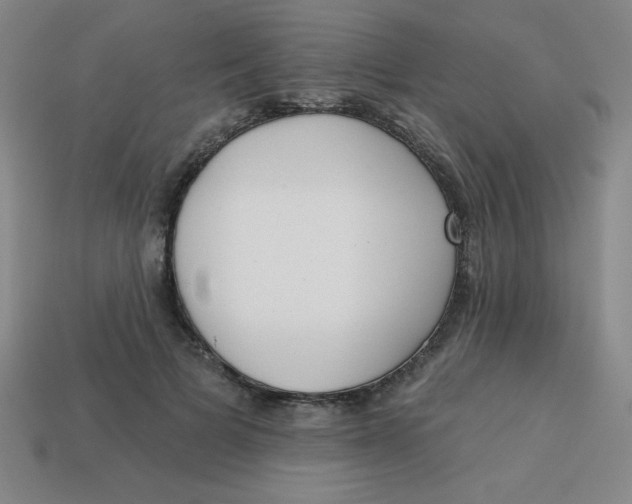 X0000113740697200910141004