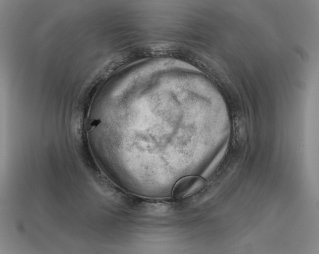 X0000113740698200910141004