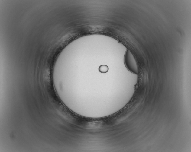 X0000113740700200910141004