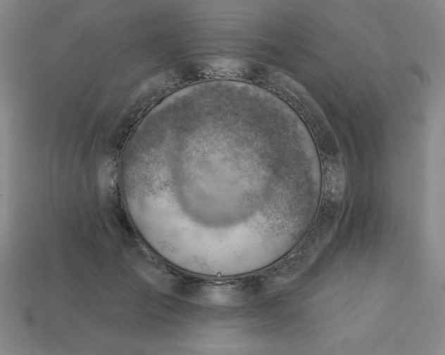 X0000113740701200910141004