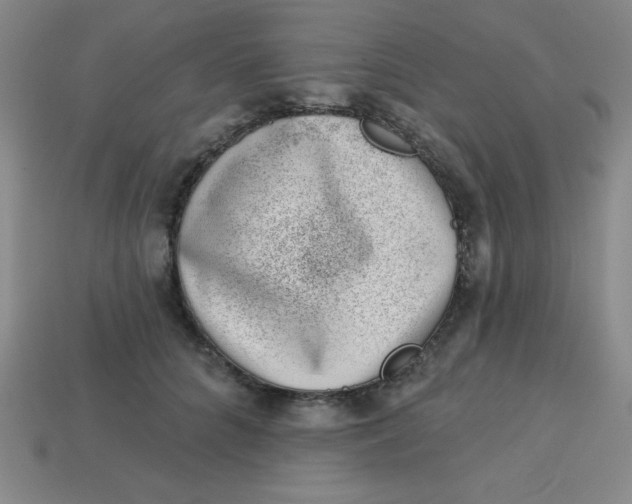 X0000113740704200910141004