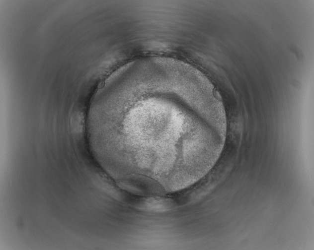 X0000113740708200910141004