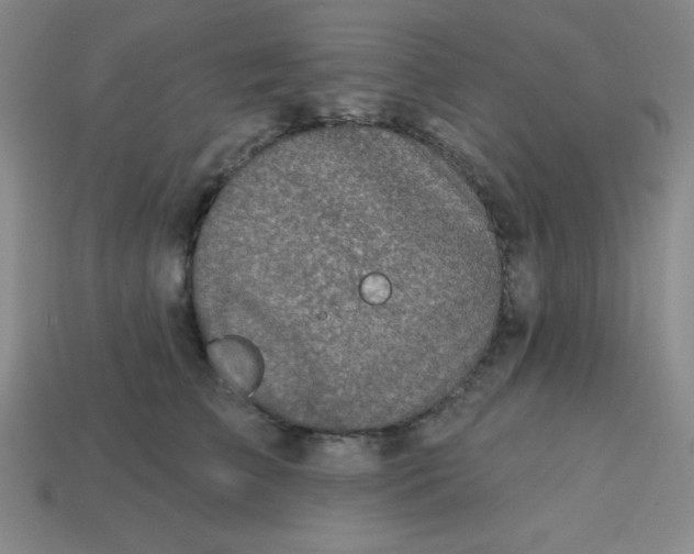 X0000113740709200910141004