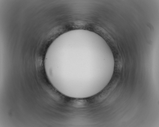 X0000113740711200910141004