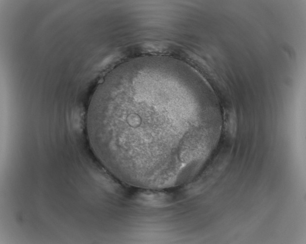 X0000113740712200910141004