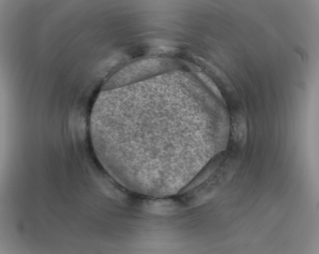 X0000113740716200910141004