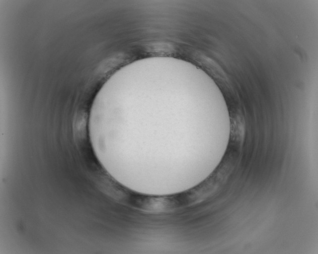 X0000113740717200910141004