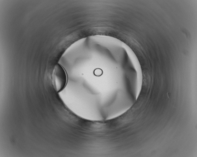 X0000113740718200910141004