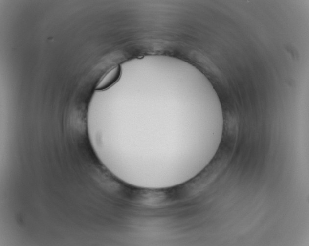 X0000113740719200910141004