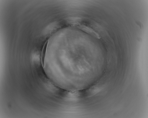 X0000113740720200910141004