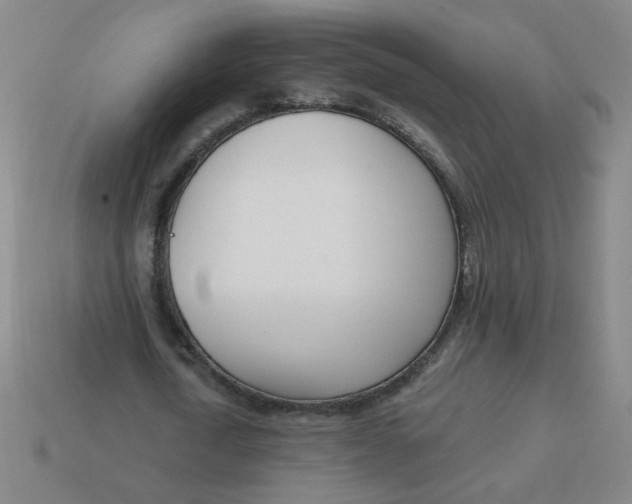 X0000113740722200910141003