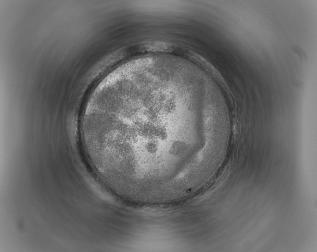 X0000113740725200910141003