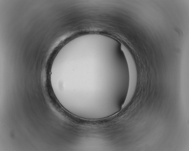 X0000113740726200910141003