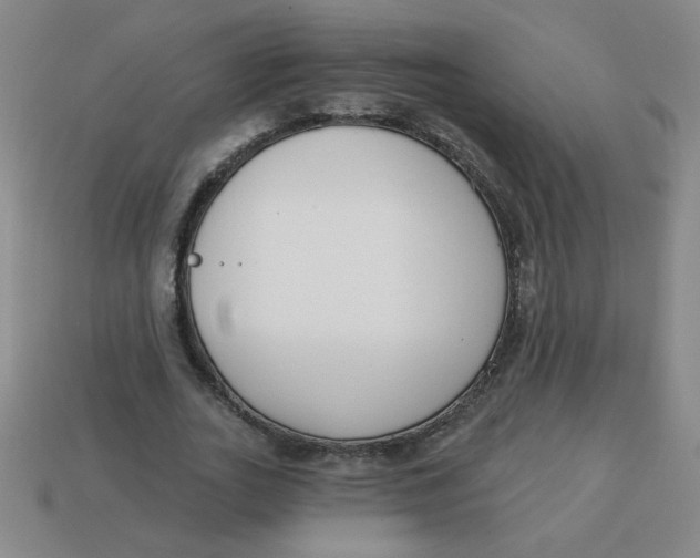 X0000113740727200910141003