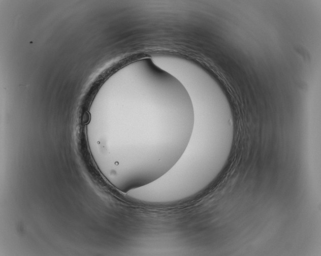 X0000113740728200910141003