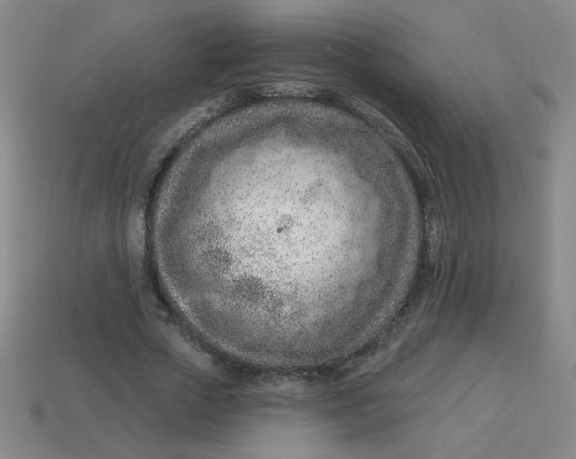 X0000113740729200910141003