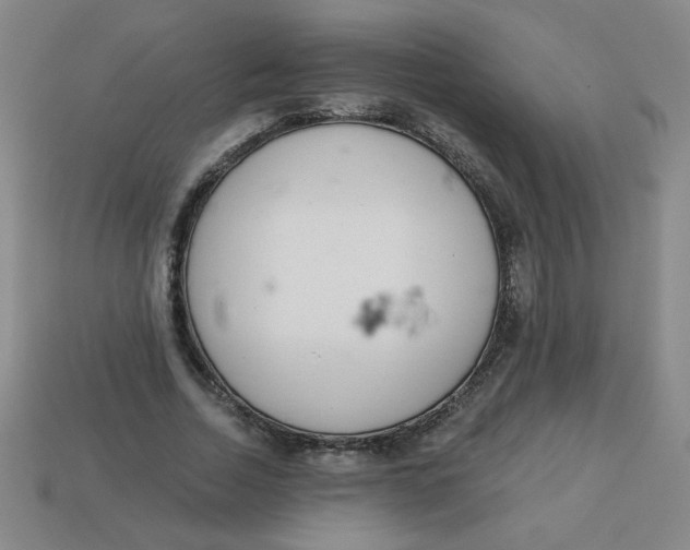 X0000113740730200910141003