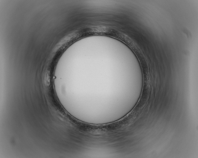 X0000113740731200910141003