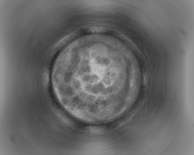 X0000113740733200910141003