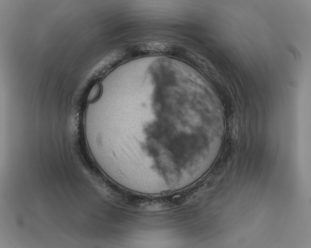 X0000113740735200910141003