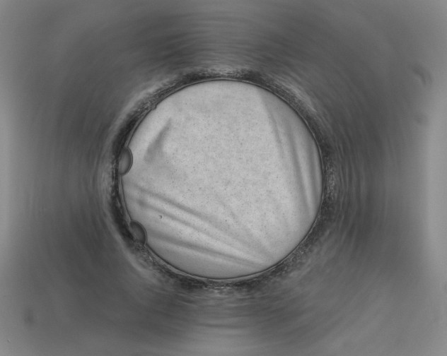 X0000113740736200910141003