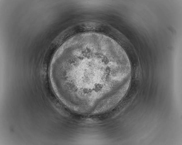 X0000113740737200910141003