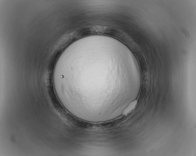 X0000113740738200910141003