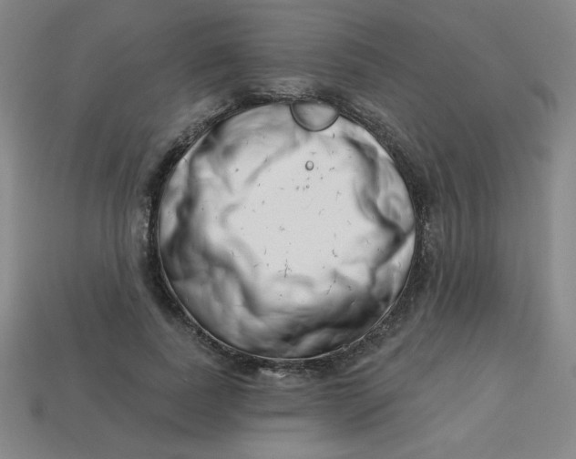 X0000113740739200910141003