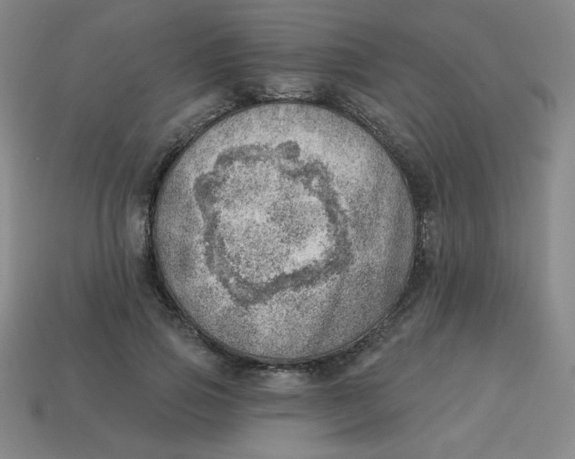 X0000113740741200910141003