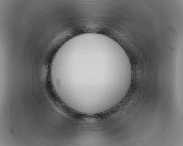 X0000113740742200910141003