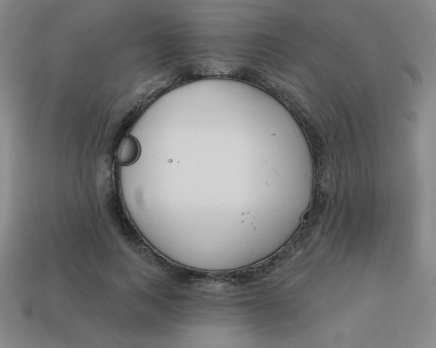 X0000113740743200910141003