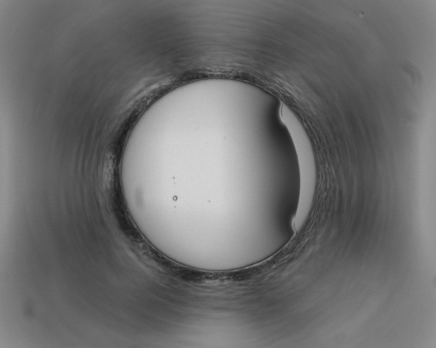 X0000113740744200910141003