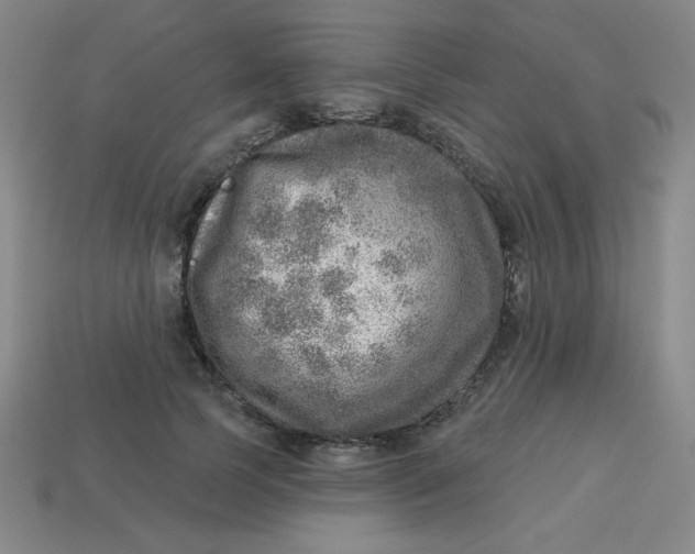 X0000113740745200910141003