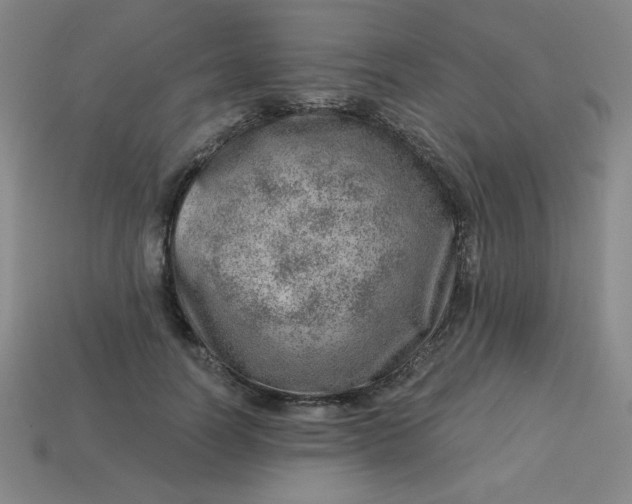 X0000113740746200910141003