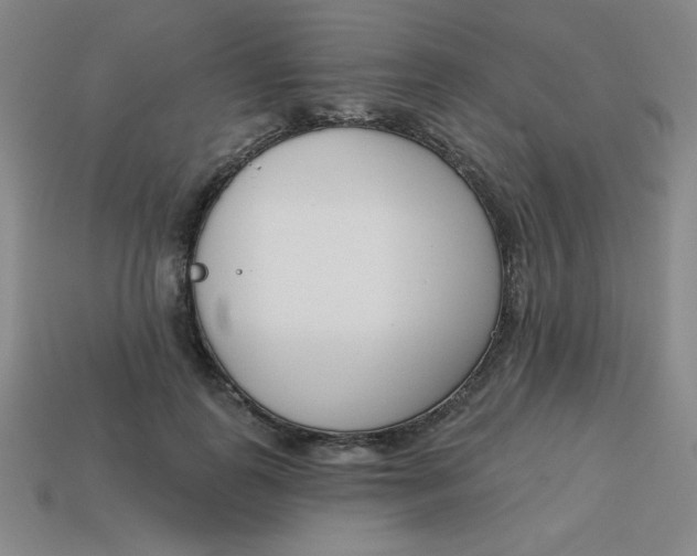 X0000113740747200910141003