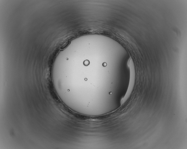 X0000113740748200910141003