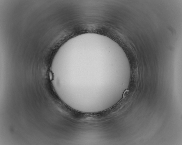 X0000113740750200910141003