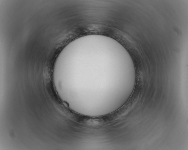 X0000113740751200910141003