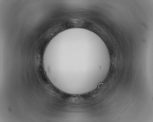 X0000113740752200910141003