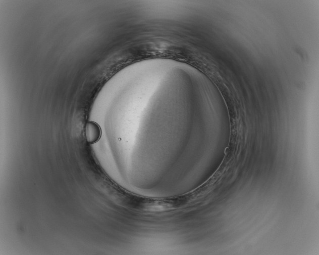 X0000113740754200910141003