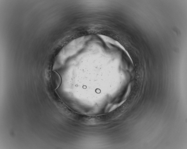 X0000113740755200910141003