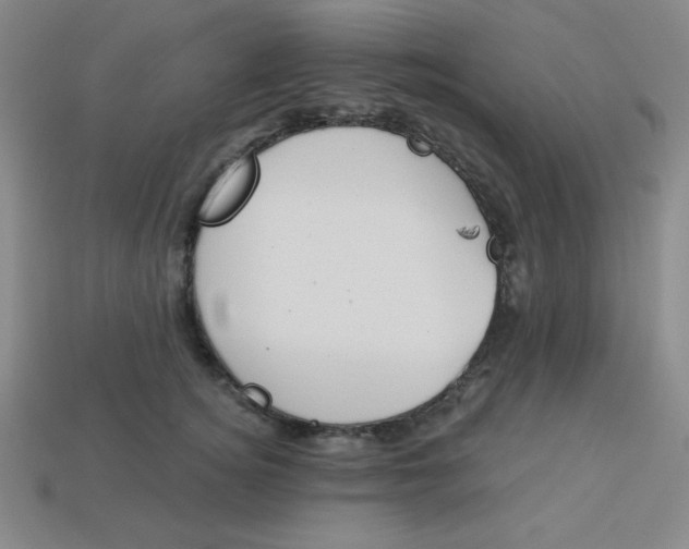 X0000113740756200910141004