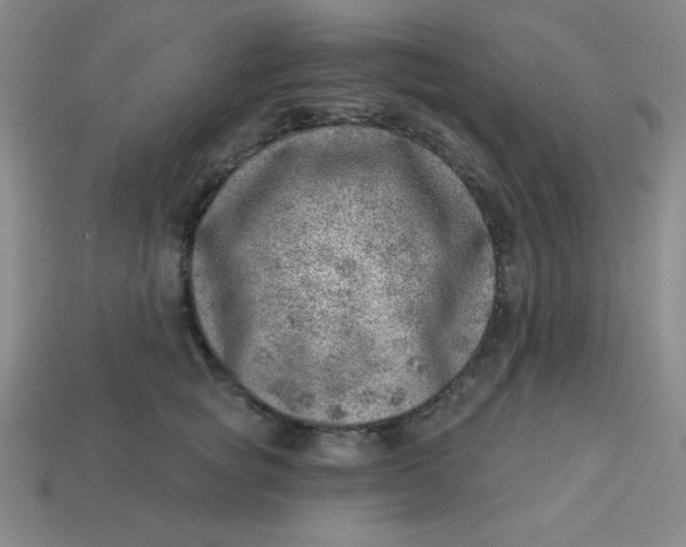 X0000113740757200910141004